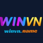 Winvn logo